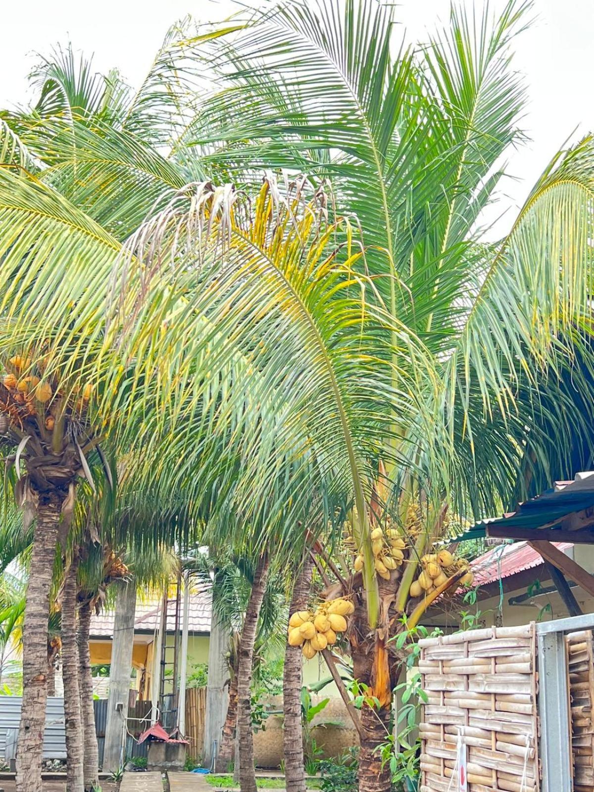 Bias Bungalows Gili Air Exterior foto